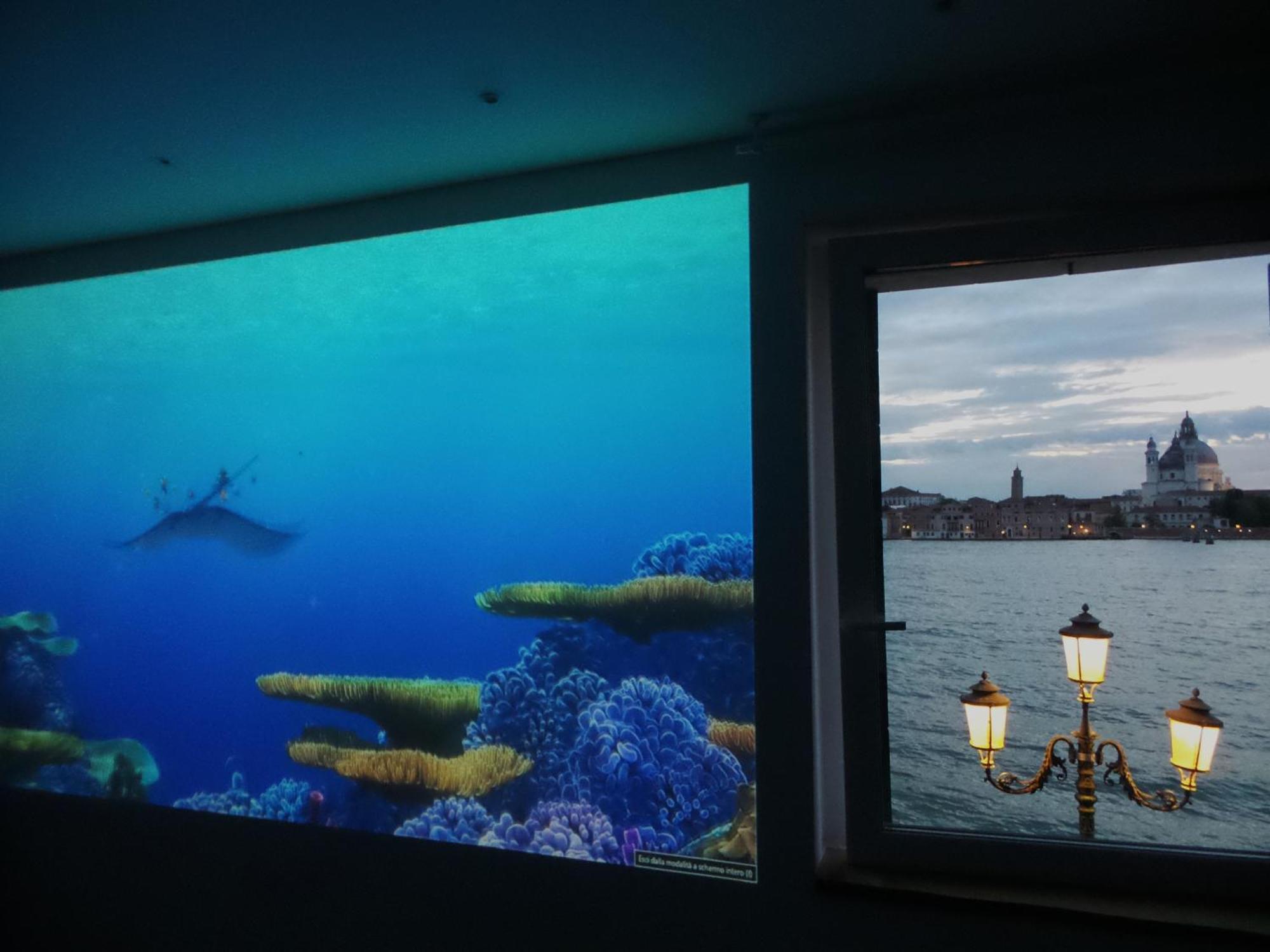 3 Windows On St Mark - Waterfront Apartment Venecia Exterior foto
